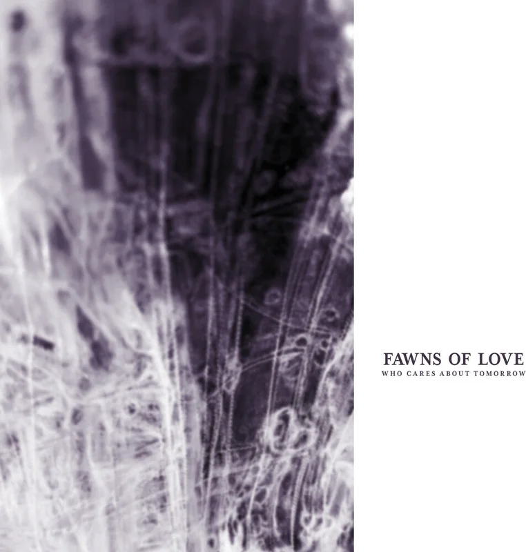 Fawns of Love - Who Cares About Tomorrow [Remastered]