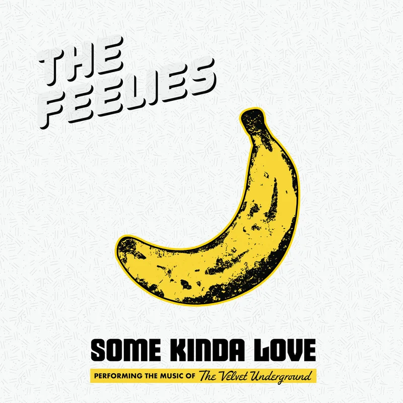 Feelies - Some Kinda Love: Performing Music Of The Velvet [CD]