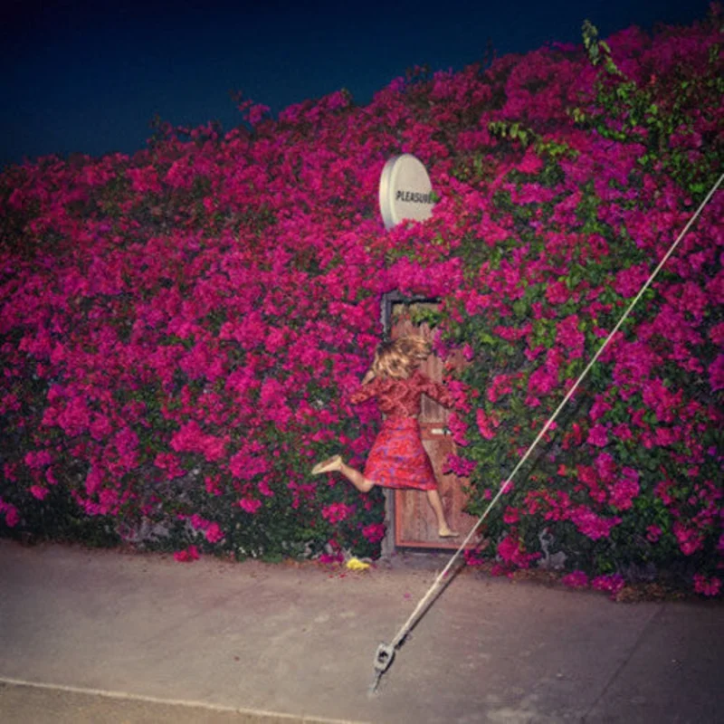 Feist - Pleasure - LP