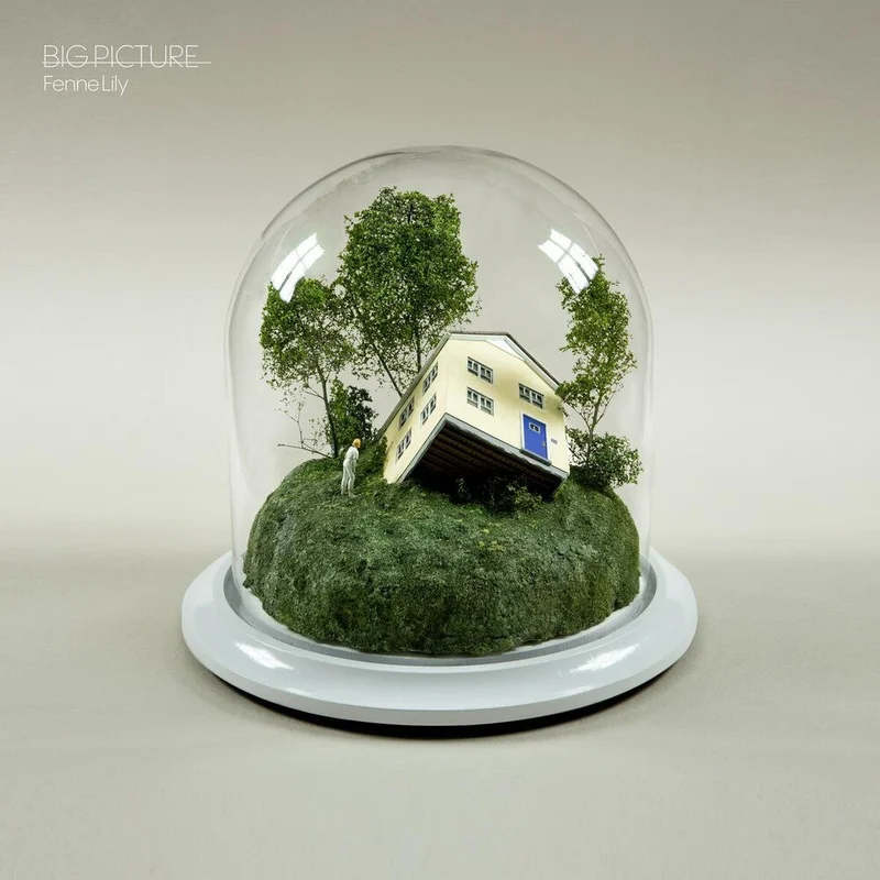 Fenne Lily - Big Picture [LP]