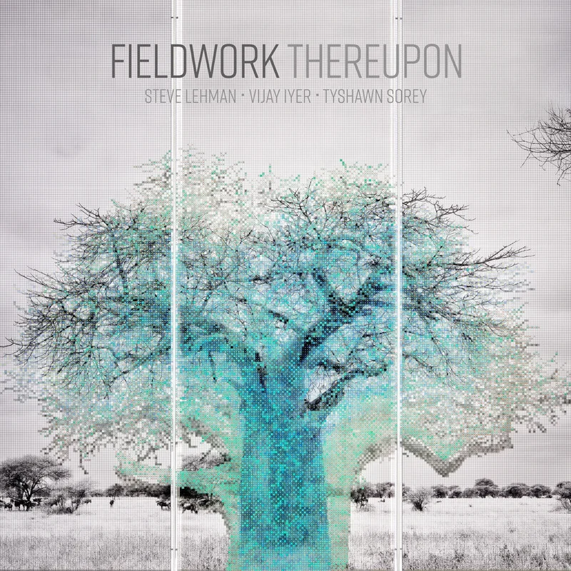 Fieldwork - Thereupon [LP]