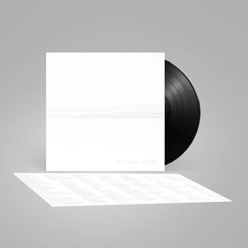 Foo Fighters -  But Here We Are - LP