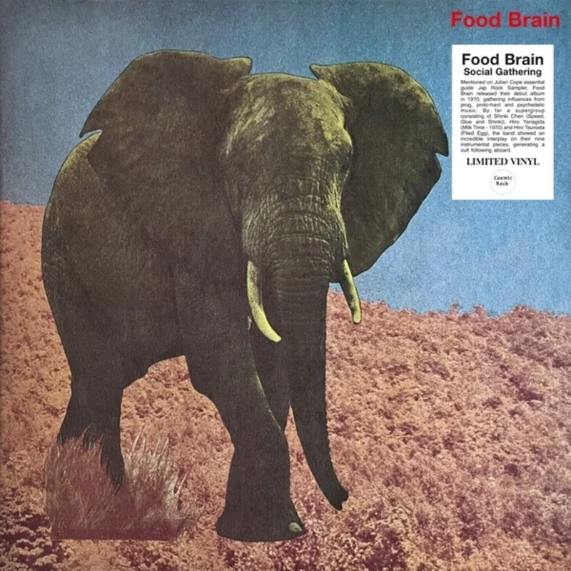 Food Brain - Social Gathering [LP]
