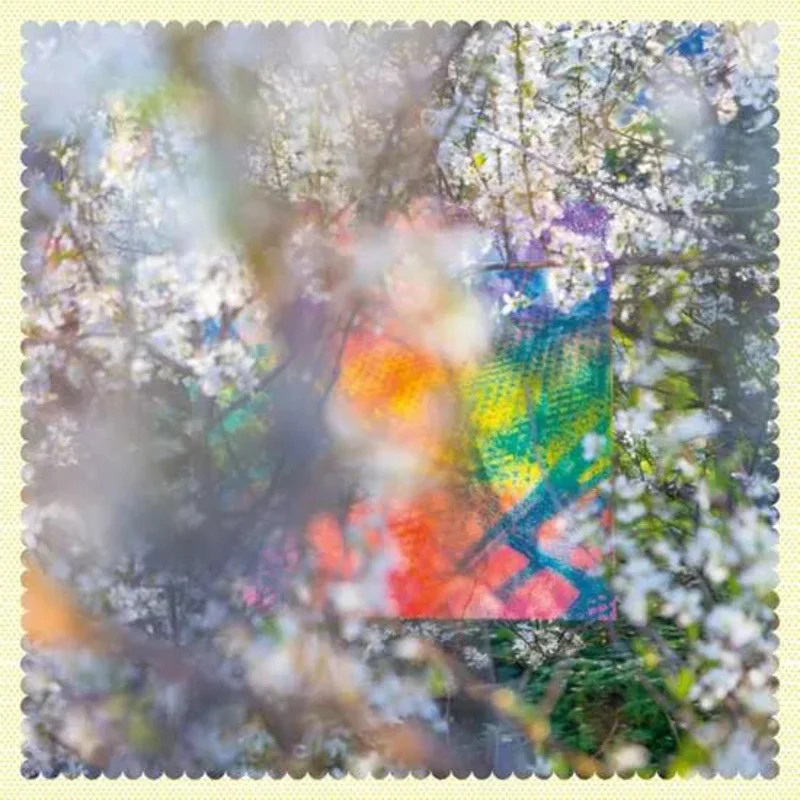 Four Tet - Sixteen Oceans [IMPORT]
