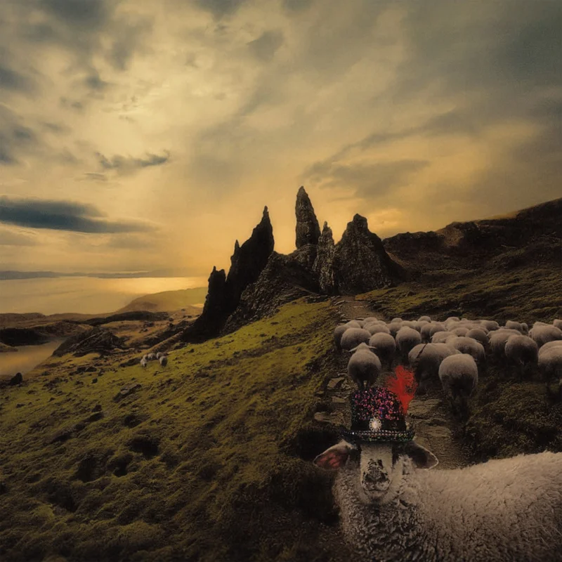 FRANCK CARDUCCI - Sheeple - LP - Vinyl Gatefold Sleeve [APR 10]