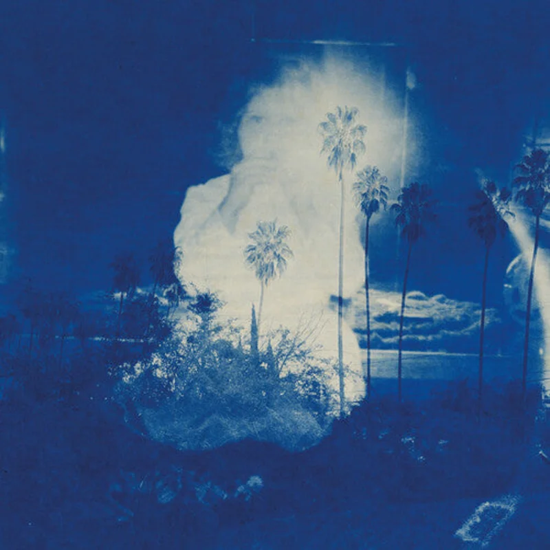 Fruit Bats -  A River Running to Your Heart - LP
