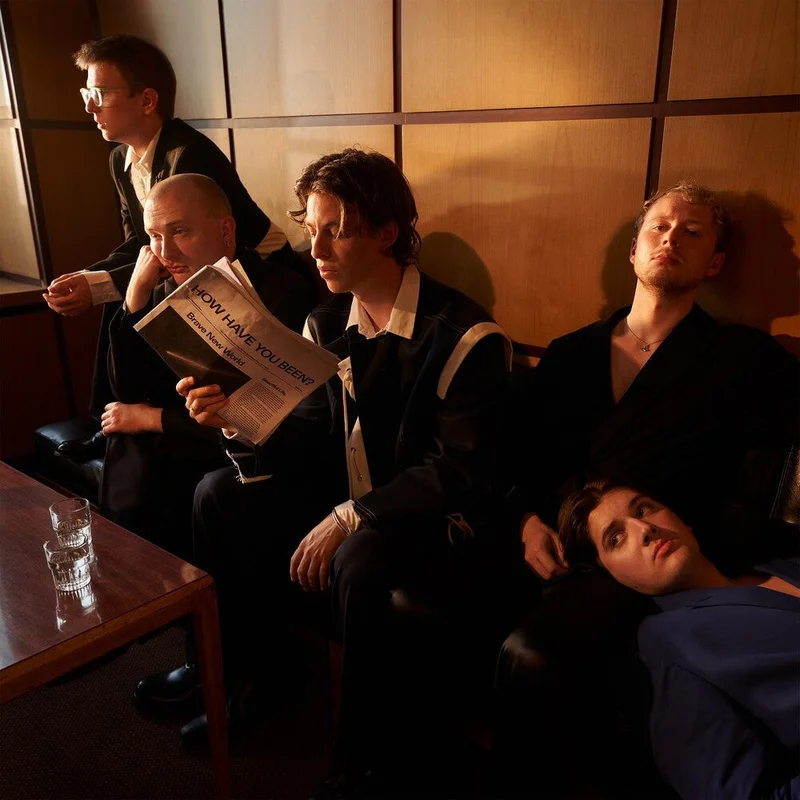 Giant Rooks - How Have You Been? [CD]