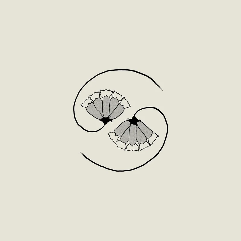 Godspeed You! Black Emperor - G_D's Pee At State's End! [180 gram LP + 10in]
