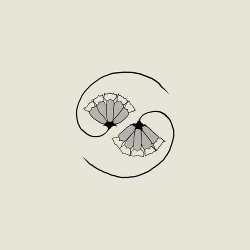 Godspeed You! Black Emperor - G_d's Pee AT STATE'S END! - LP