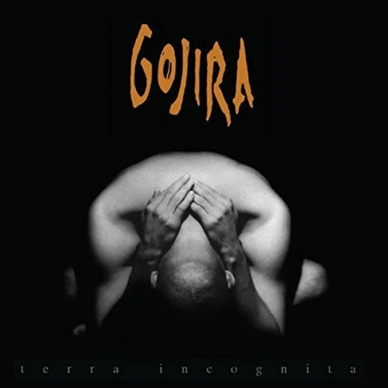 Gojira - Terra Incognita - LP