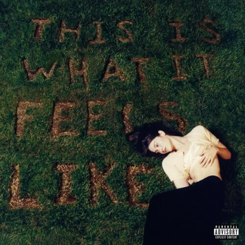 Gracie Abrams - This Is What It Feels Like - LP