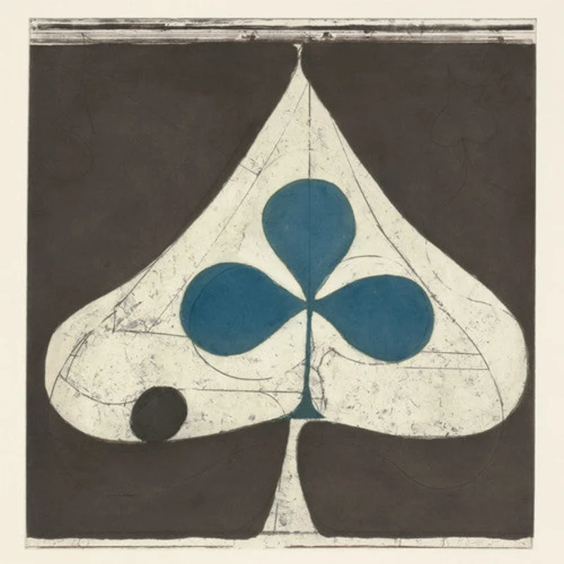 Grizzly Bear - Shields [CD]