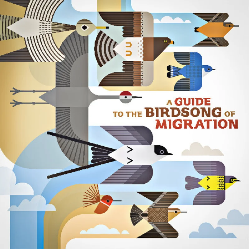 Guide to the Birdsong of Migration / Various - Guide To The Birdsong Of Migration / Various [CD]