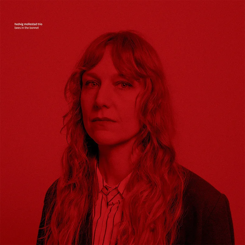 HEDVIG MOLLESTAD TRIO - Bees In The Bonnet - LP - Vinyl [MAY 9]