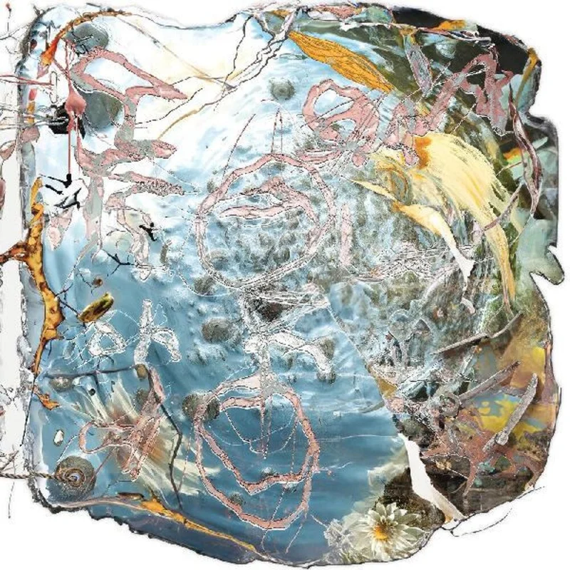 How To Dress Well - I Am Toward You [CLOUDY ORANGE LP]