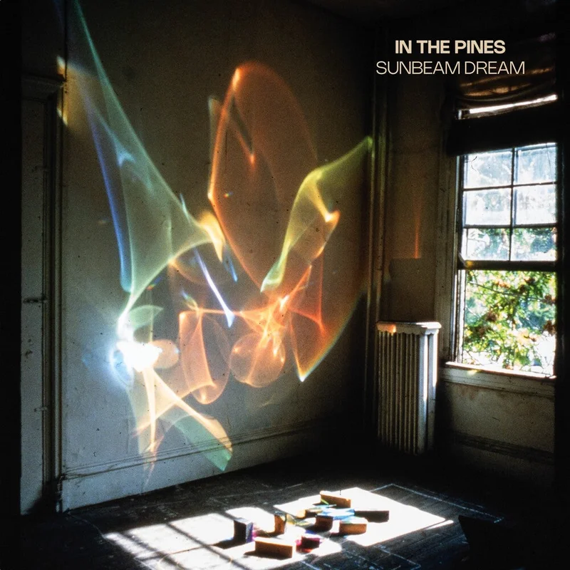 In The Pines - Sunbeam Dream [LP]