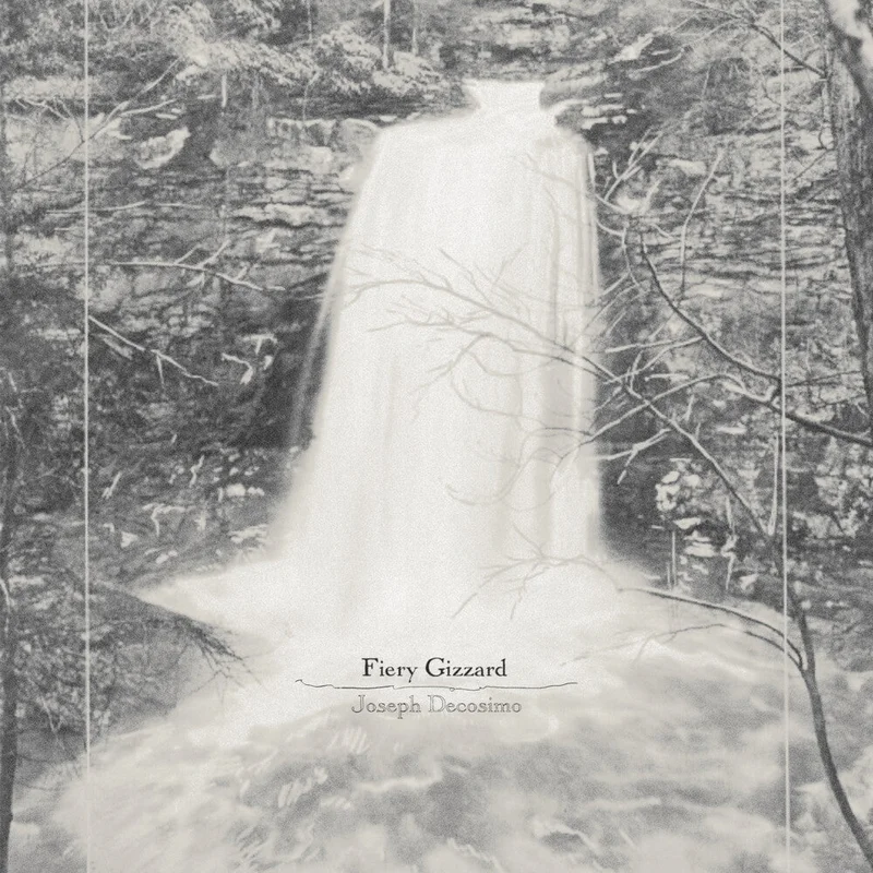 Joseph Decosimo - Fiery Gizzard - Green [Colored Vinyl] (Grn)