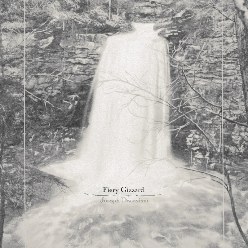 Joseph Decosimo - Fiery Gizzard [LP]