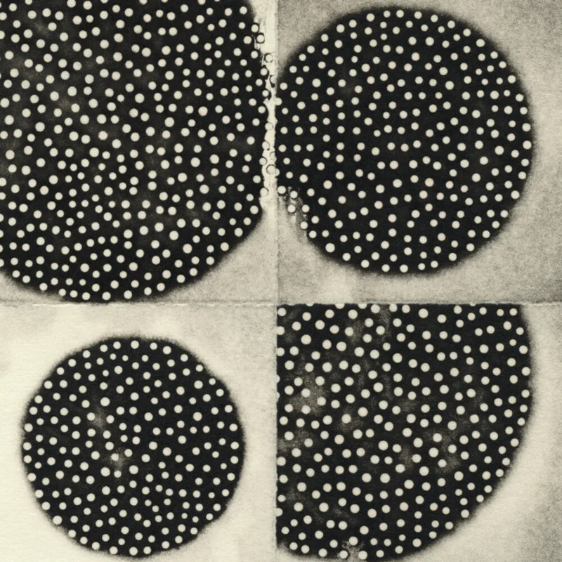 K Leimer . - Resting Forms [CD]