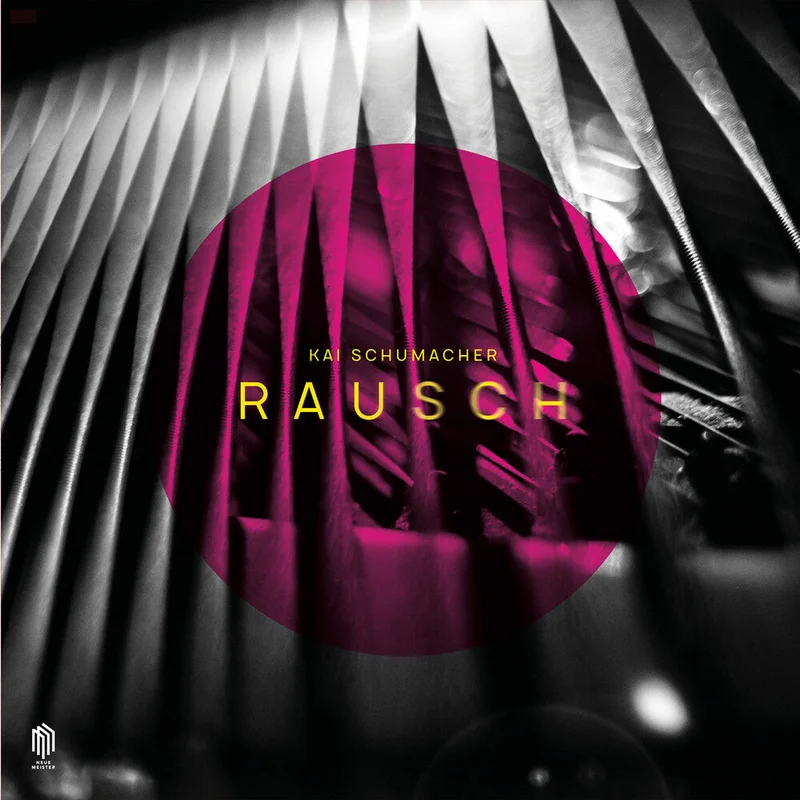 Kai Schumacher - Rausch [LP]