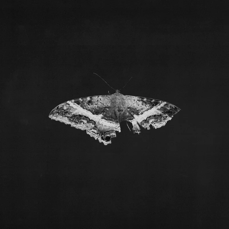 Kendrick Lamar - To Pimp A Butterfly (10th Anniversary) - LP