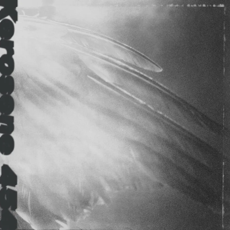 Kerosene 454 - Came By To Kill Me [LP]