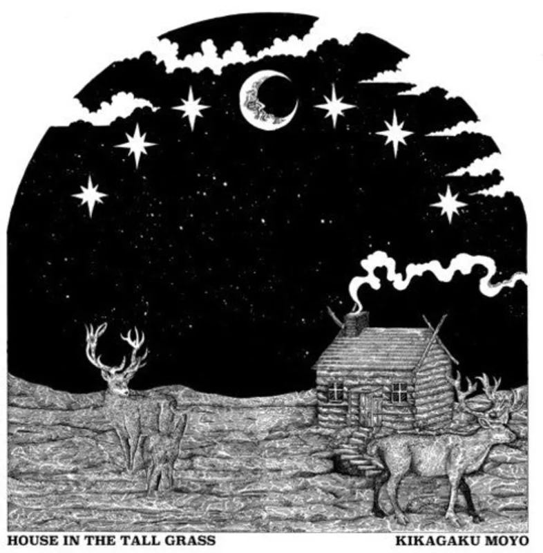 Kikagaku Moyo - House In The Tall Grass [LP]