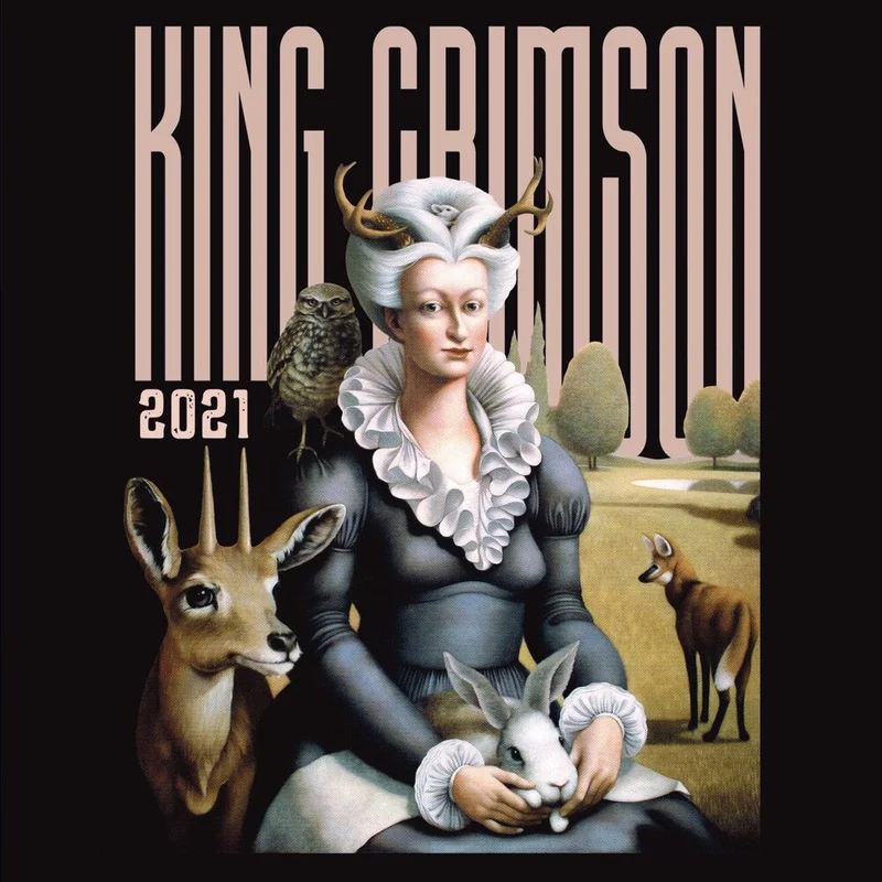 King Crimson - Music Is Our Friend: Live In Washington D.c. & Alb [CD]