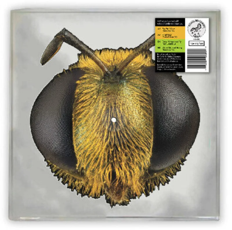 King Gizzard and the Lizard Wizard - Big Fig Wasp [RSD2026]