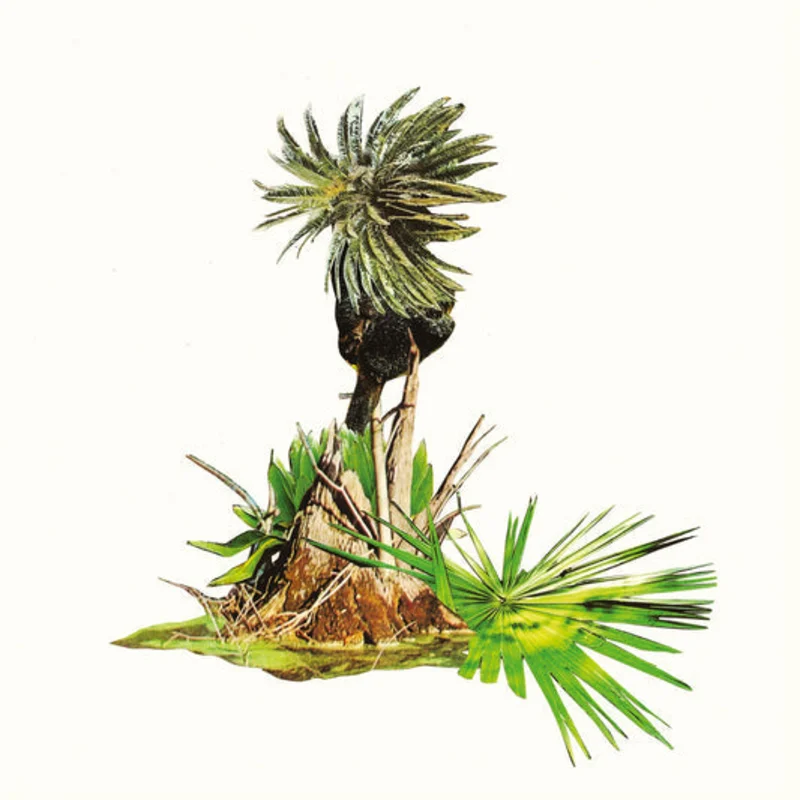 Lagoss - Msica Para Pltanos  (Vinyl LP) PRE-ORDER