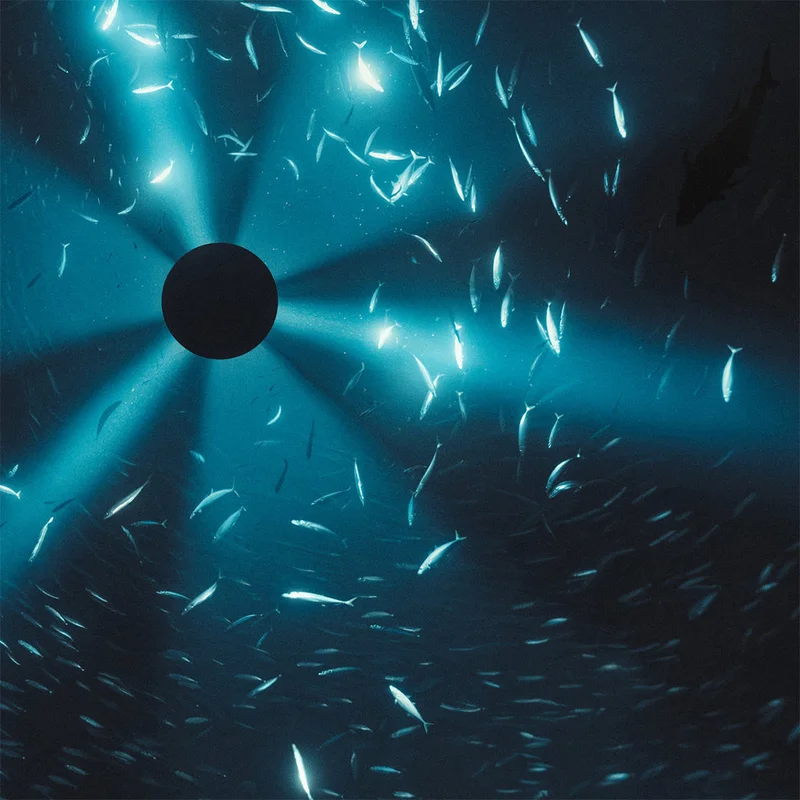 LAUREL HALO - Midnight Zone (Original Soundtrack to the Film by Julian Charrire) - LP - Gatefold Vinyl [MAR 13]