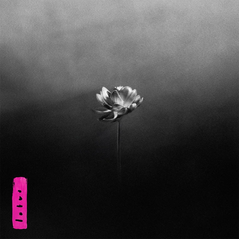 LITTLE SIMZ - Lotus - CD