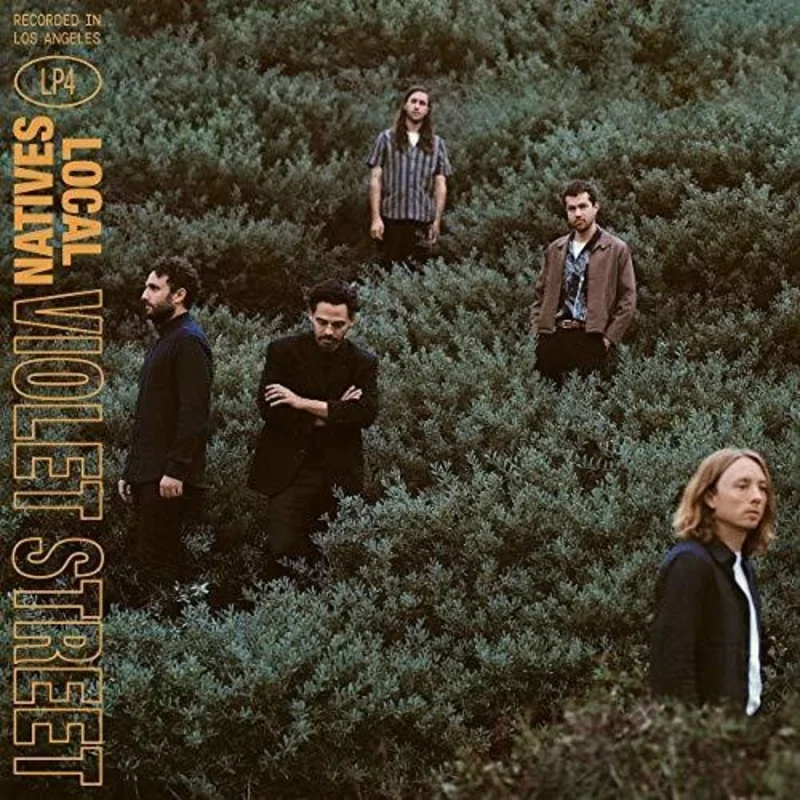 Local Natives - Violet Street - LP
