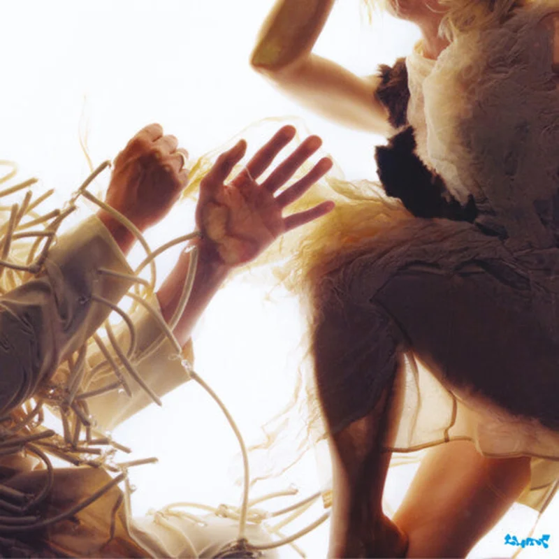 Lump - Animal - LP