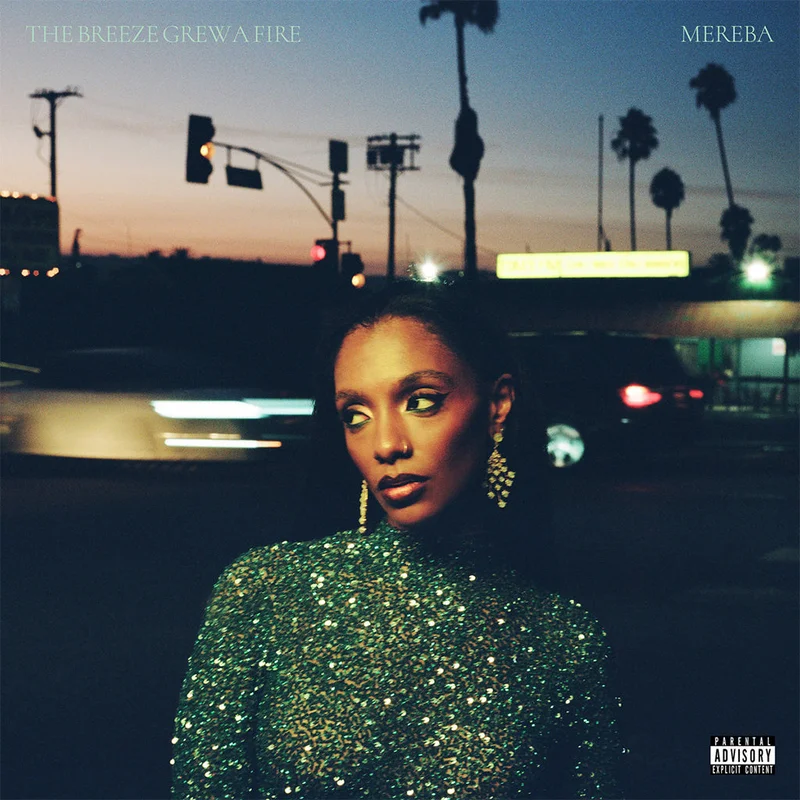 MEREBA - The Breeze Grew A Fire - LP - Black Vinyl [FEB 14]