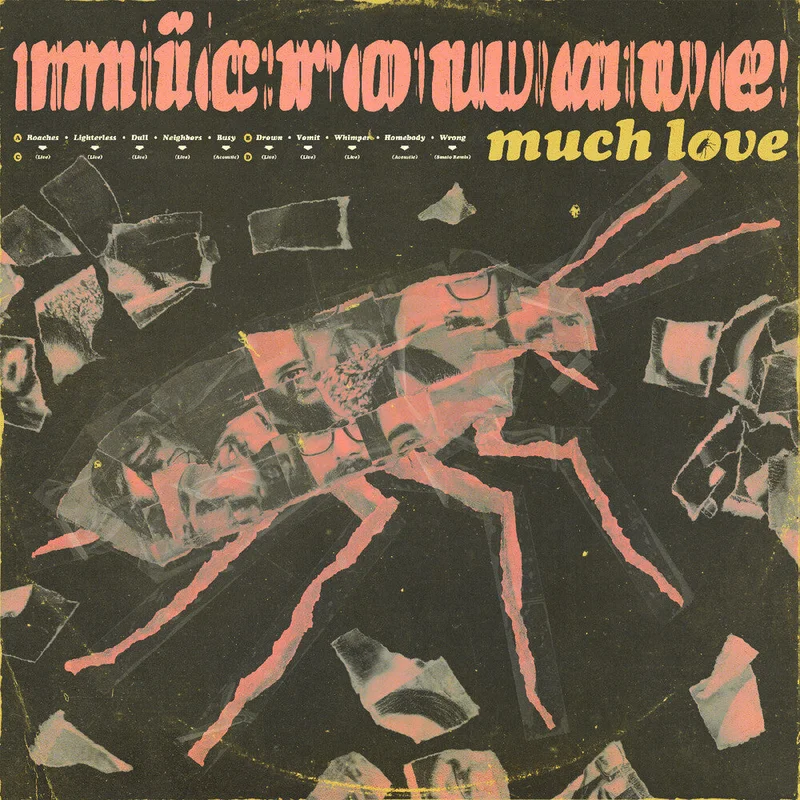 Microwave - Much Love (10 Year Anniversary) [Clear Pink Swirl]