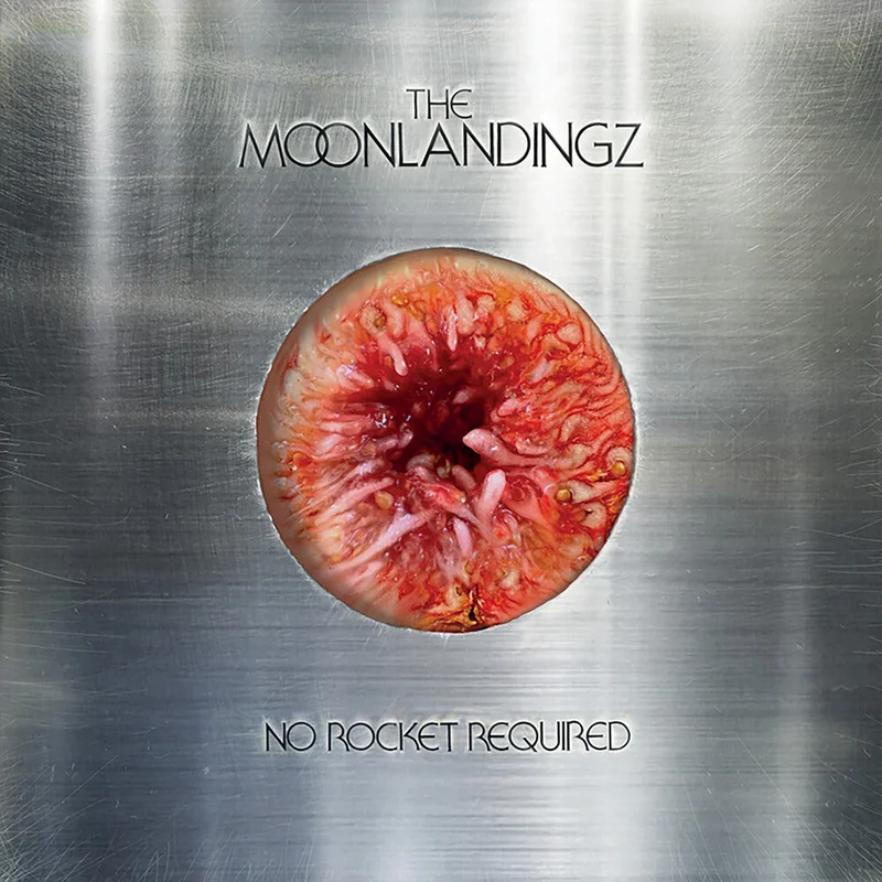 Moonlandingz - No Rocket Required [CD]