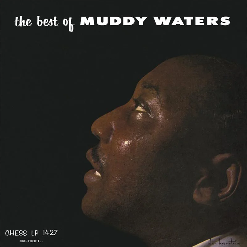 MUDDY WATERS - The Best Of Muddy Waters (Acoustic Sounds Series) - LP - Deluxe 180g Vinyl
