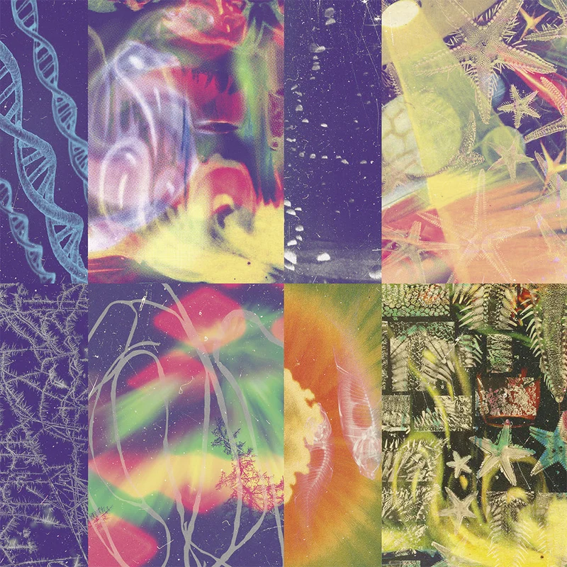 NAP EYES - The Neon Gate - LP - Vinyl