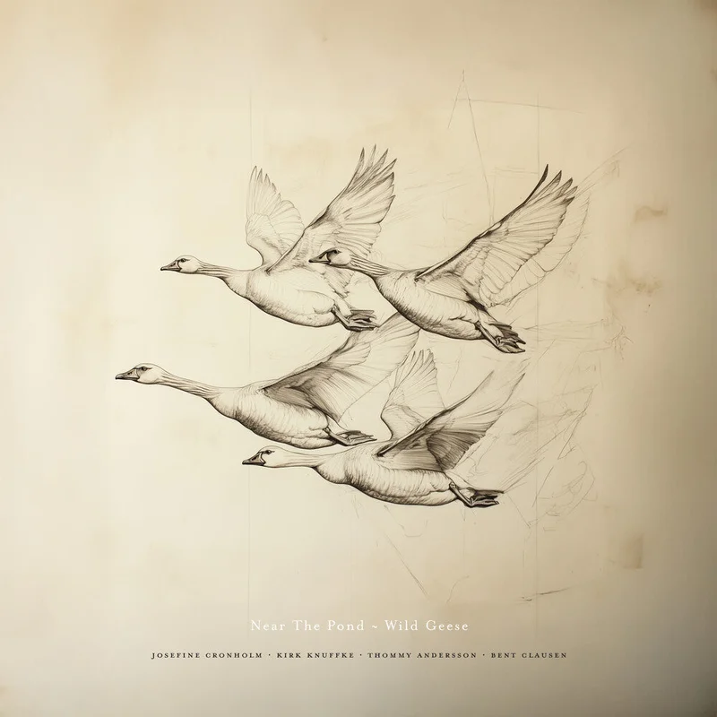 Near The Pond - Wild Geese [CD]