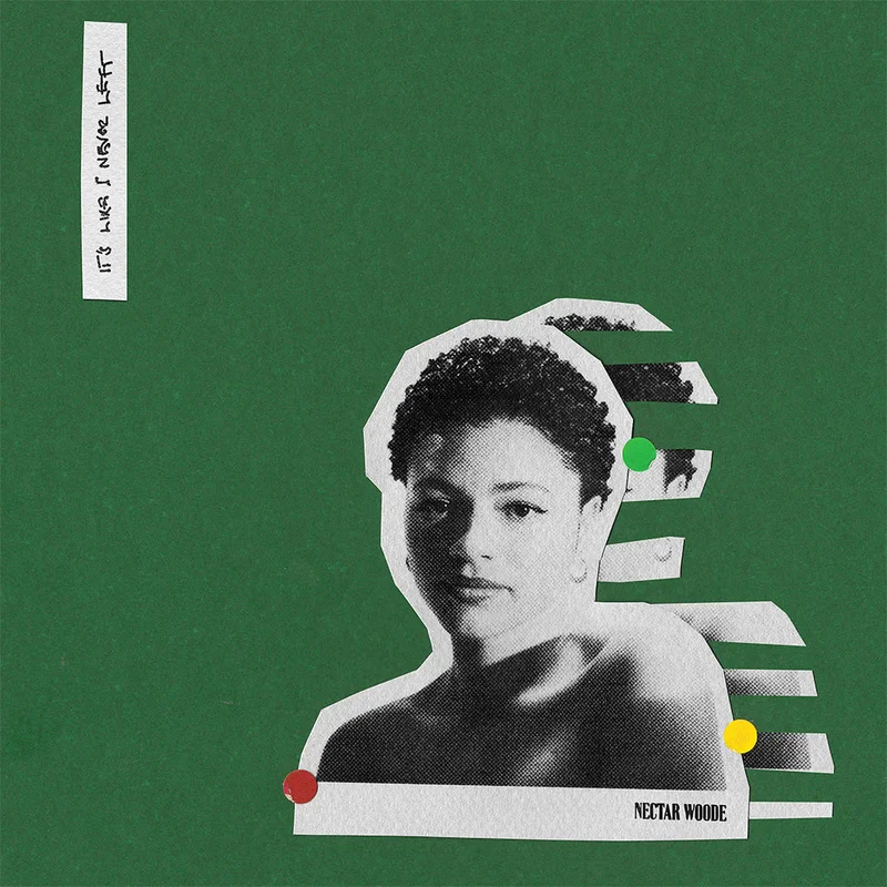 NECTAR WOODE - It's Like I Never Left - 12'' EP - Black Vinyl