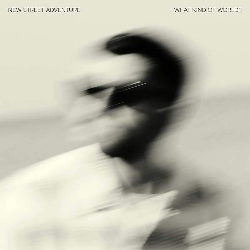 NEW STREET ADVENTURE - What Kind Of World? - CD