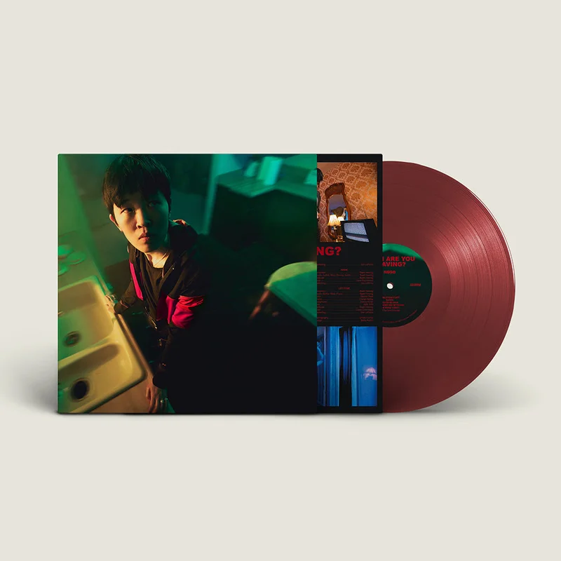 NoSo - When Are You Leaving? - LP - Oxblood Colour Vinyl
