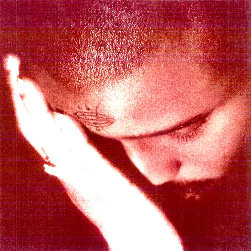 NOURISHED BY TIME - The Passionate Ones - LP - Black Vinyl