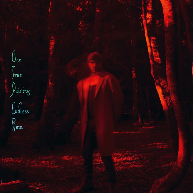 ONE TRUE PAIRING - Endless Rain - CD