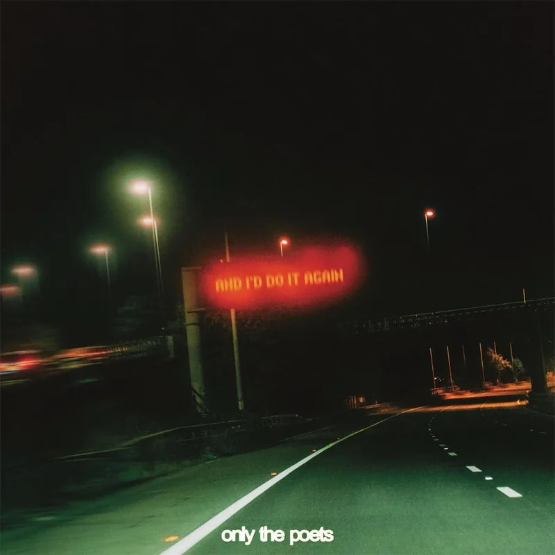 ONLY THE POETS - and i'd do it again - LP - Black Vinyl [JAN 30]