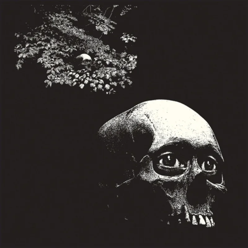 Osees - Foul Form [LP]