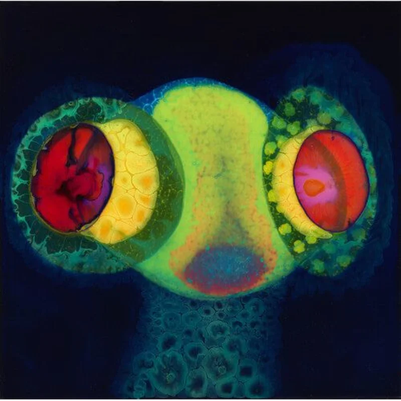 Osees - Sorcs 80 - LP