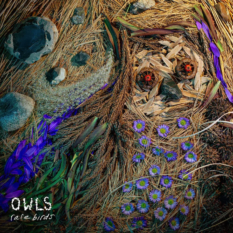 Owls - Rare Birds [LP]
