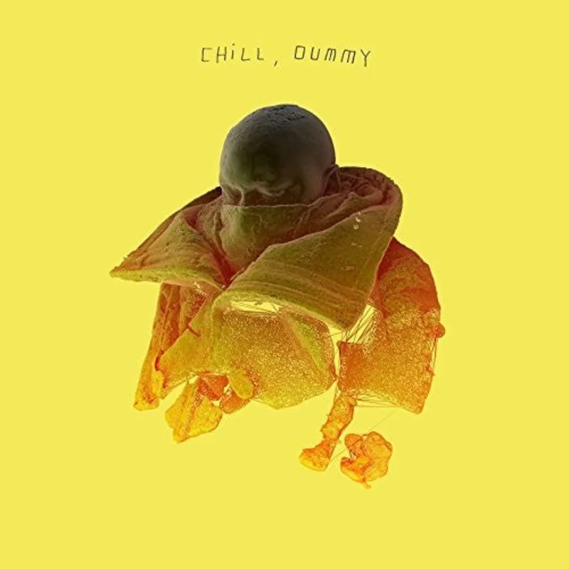 P.O.S. - Chill, Dummy [2 LP]